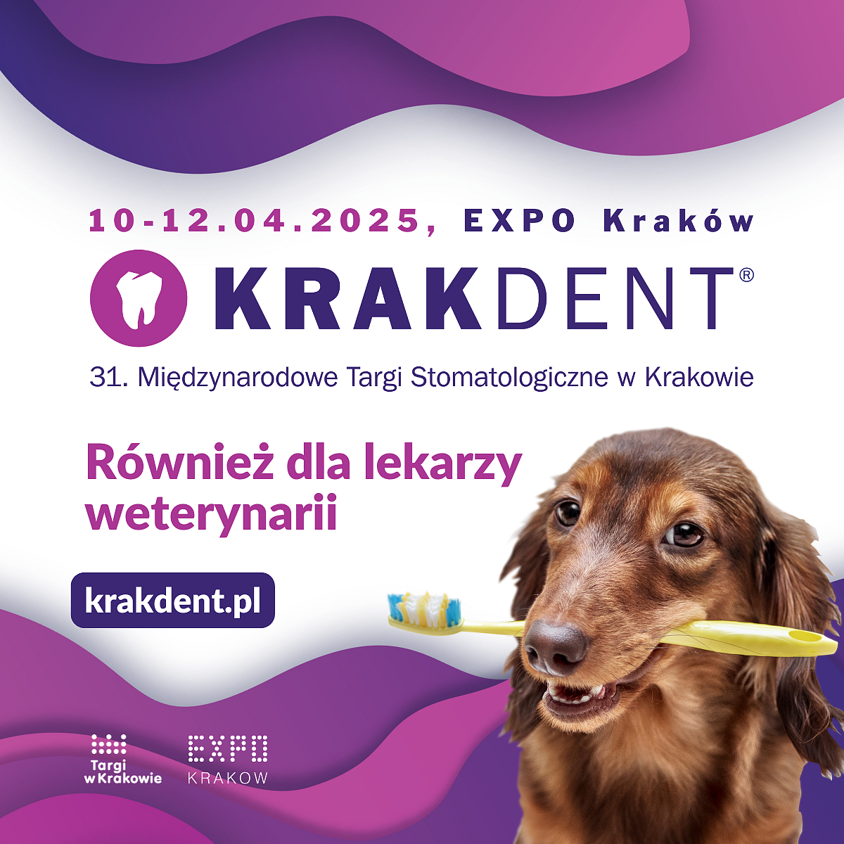 25_KRAKDENT_WET_1200x1200px.png [968.29 KB]