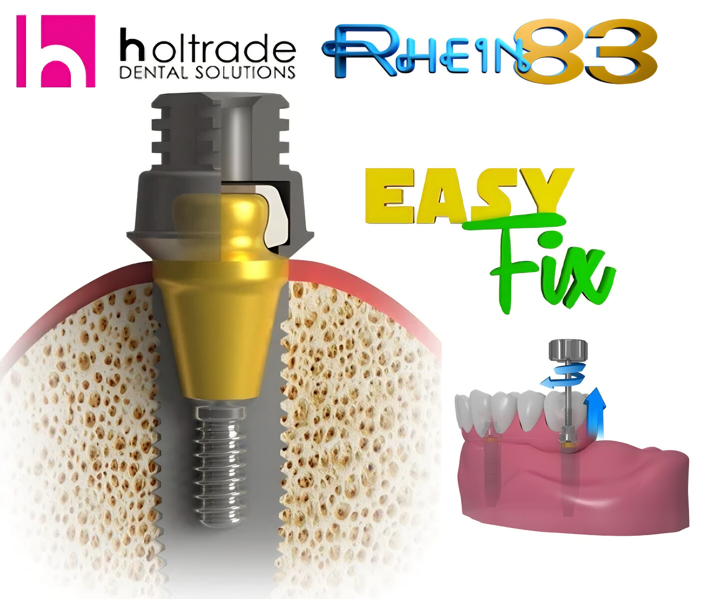 holtrade 1.jpg [1.98 MB]